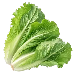 Imagen PNG para descargar